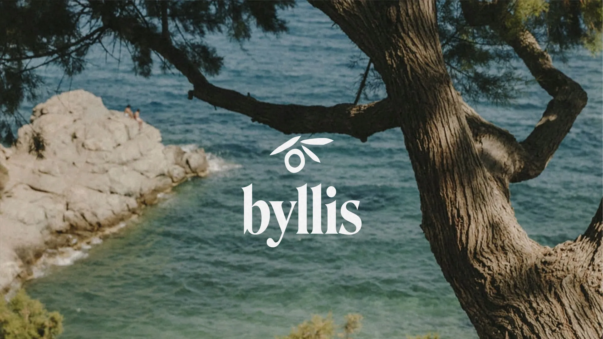 Byllis logo over the coast and an olive tree