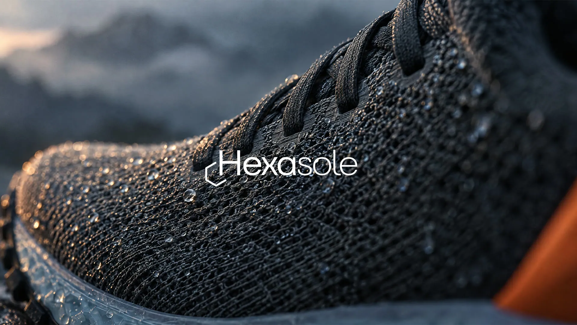 HX-01 shoe close-up with the Hexasole logo